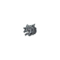 Famous Tiger Buckle