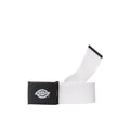 Orcutt Belt - White