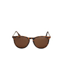 Roma Sunglasses - Turtle/Brown