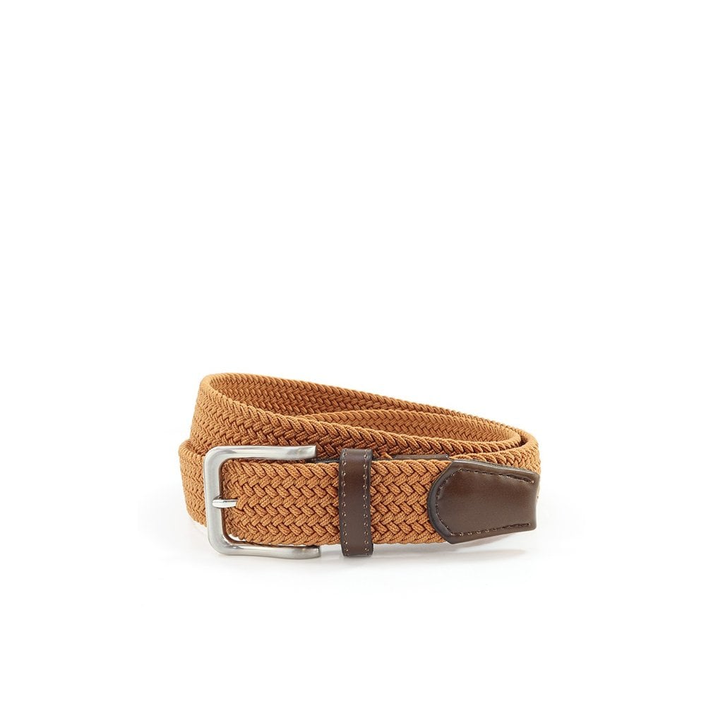Plain Web Belt - Toffee