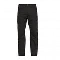Millerville Cargo Pants - Black