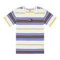 Centre Badge Stripe T-Shirt - White/Multi