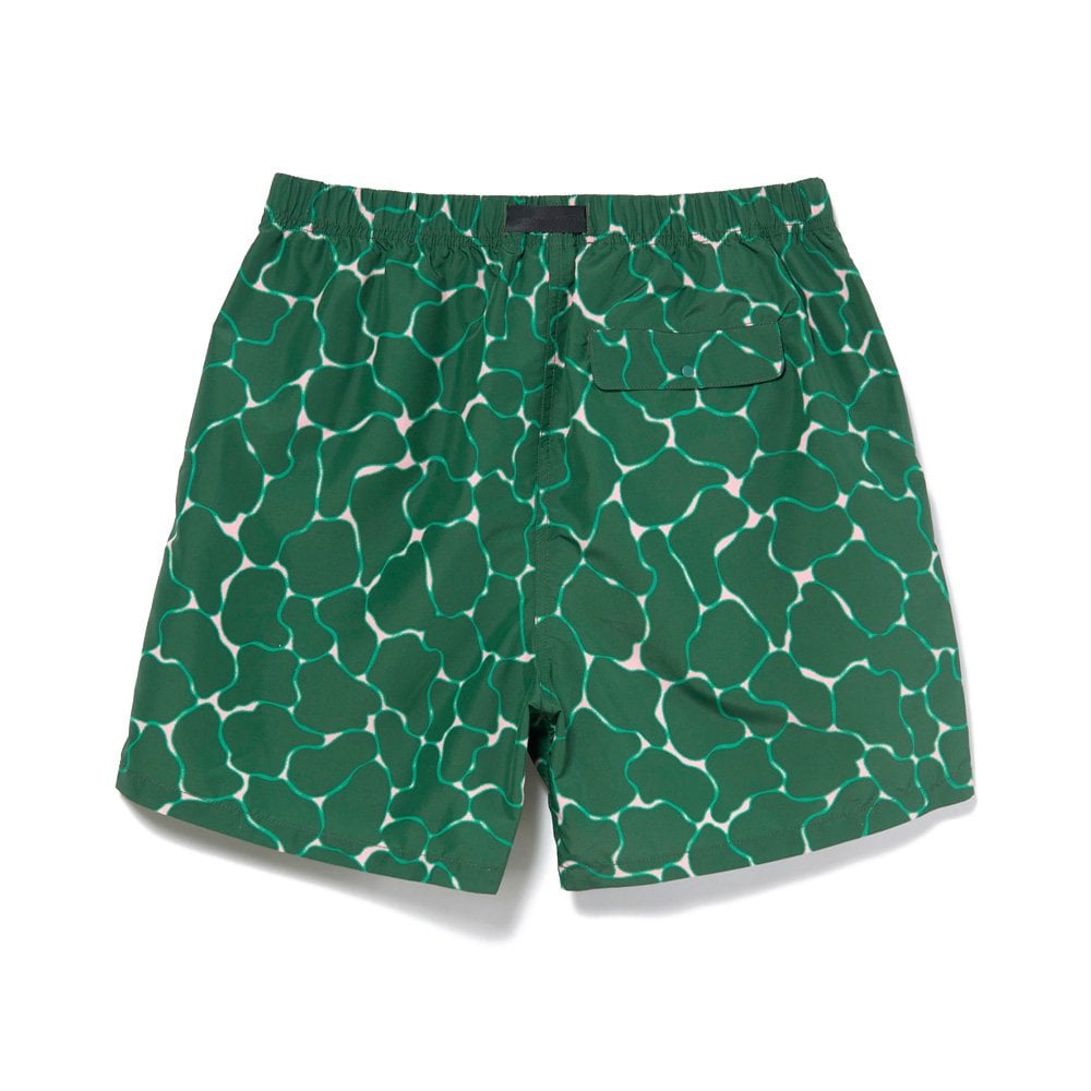 Shell Canyon Shorts - Ripple Green
