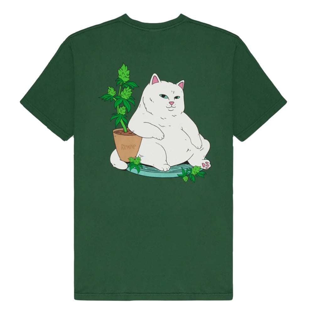 Flower Boy T-Shirt  - Olive