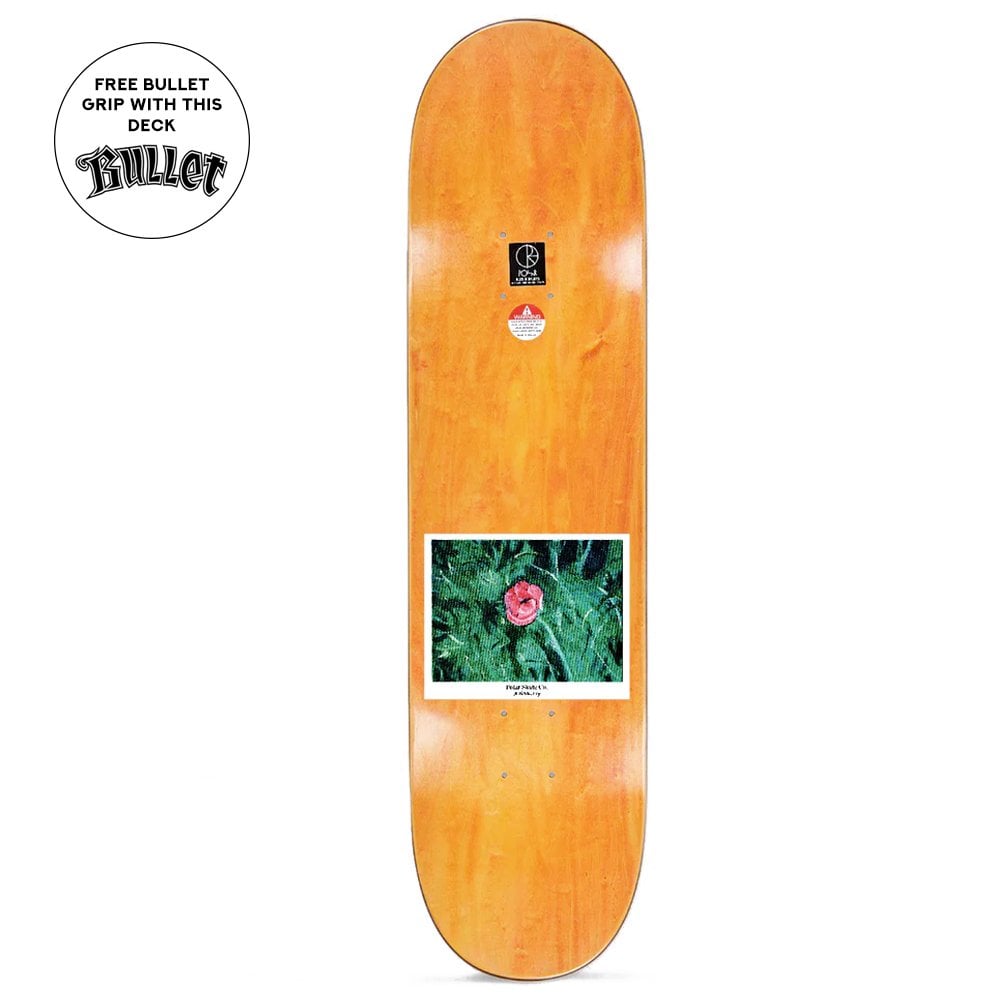 Nick Boserio Amaryllis Deck - O/C