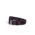 Multi Coloured Web Belt - Blu/Red/Yllw