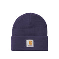 Short Watch Beanie - Aura