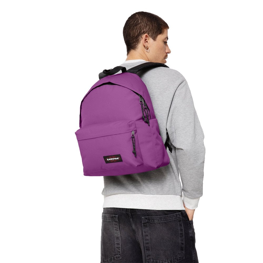 Day Pak'r - Fig Purple