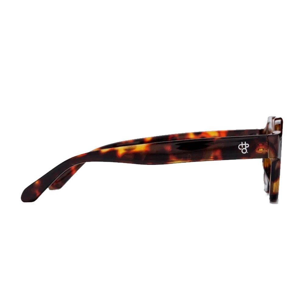 The AK - Turtle