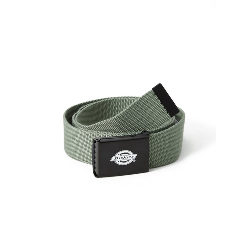 Orcutt Belt - Sea Spray