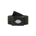 Orcutt Belt - Olive Green