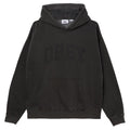 Collegiate Pigment Hoodie - Stretch Limo