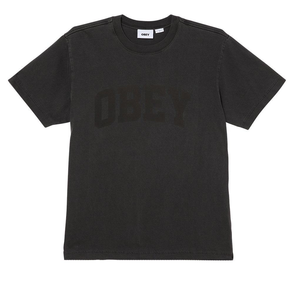 Collegiate Pigment T-Shirt - Stretch Limo