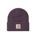 Short Watch Beanie - Cozy Purple